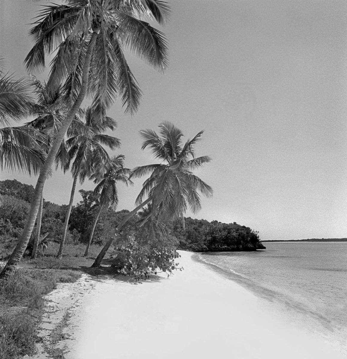 Berry Islands Beach