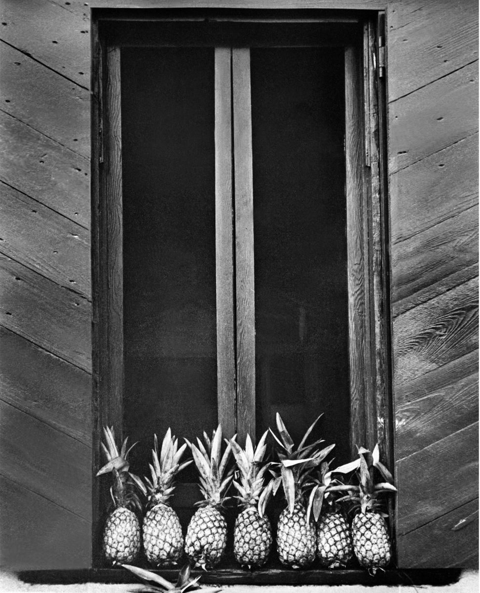 Pineapples in a Window