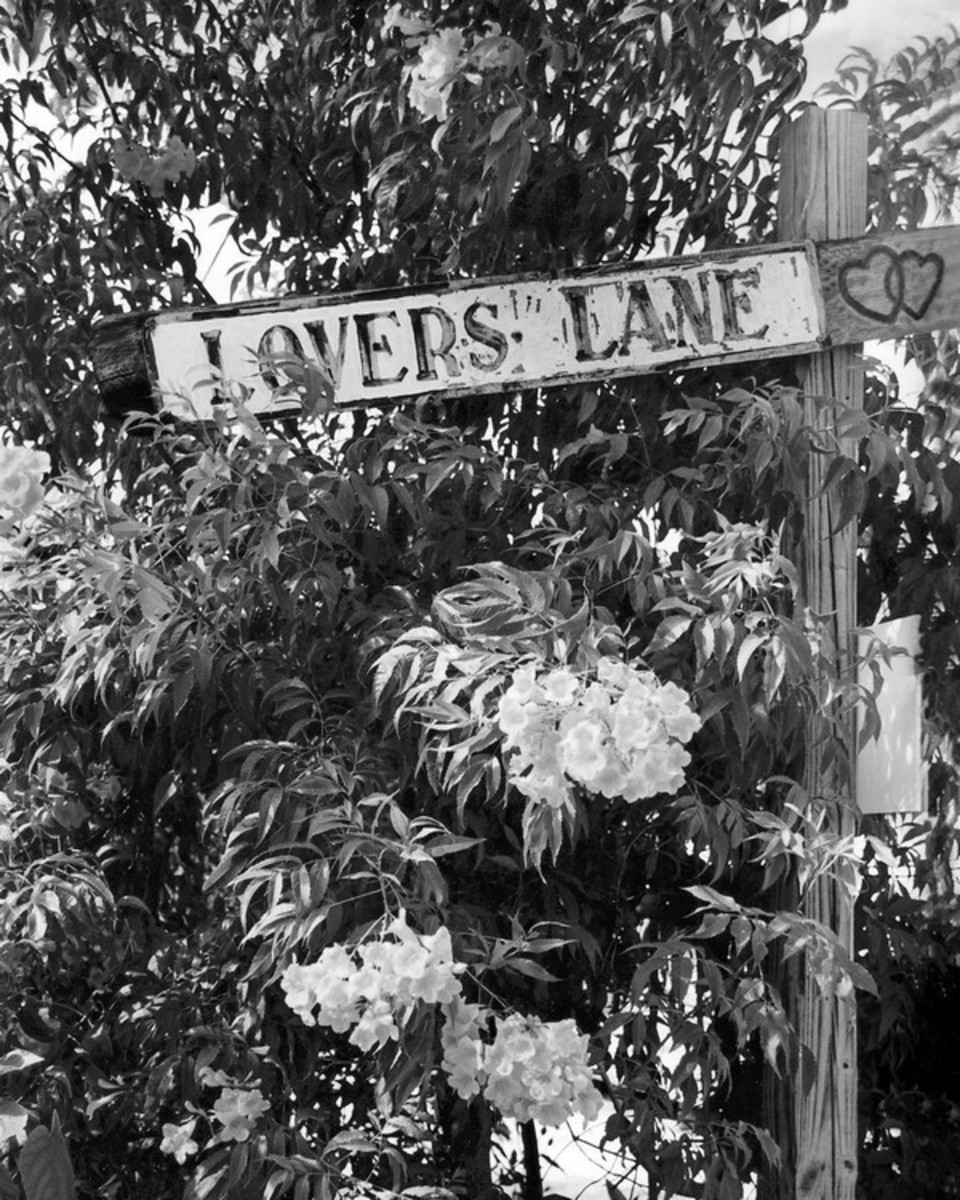 Lovers Lane