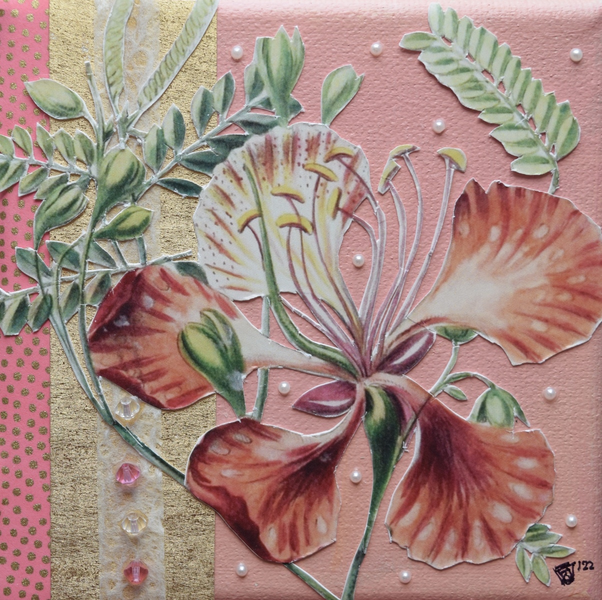 Poinciana