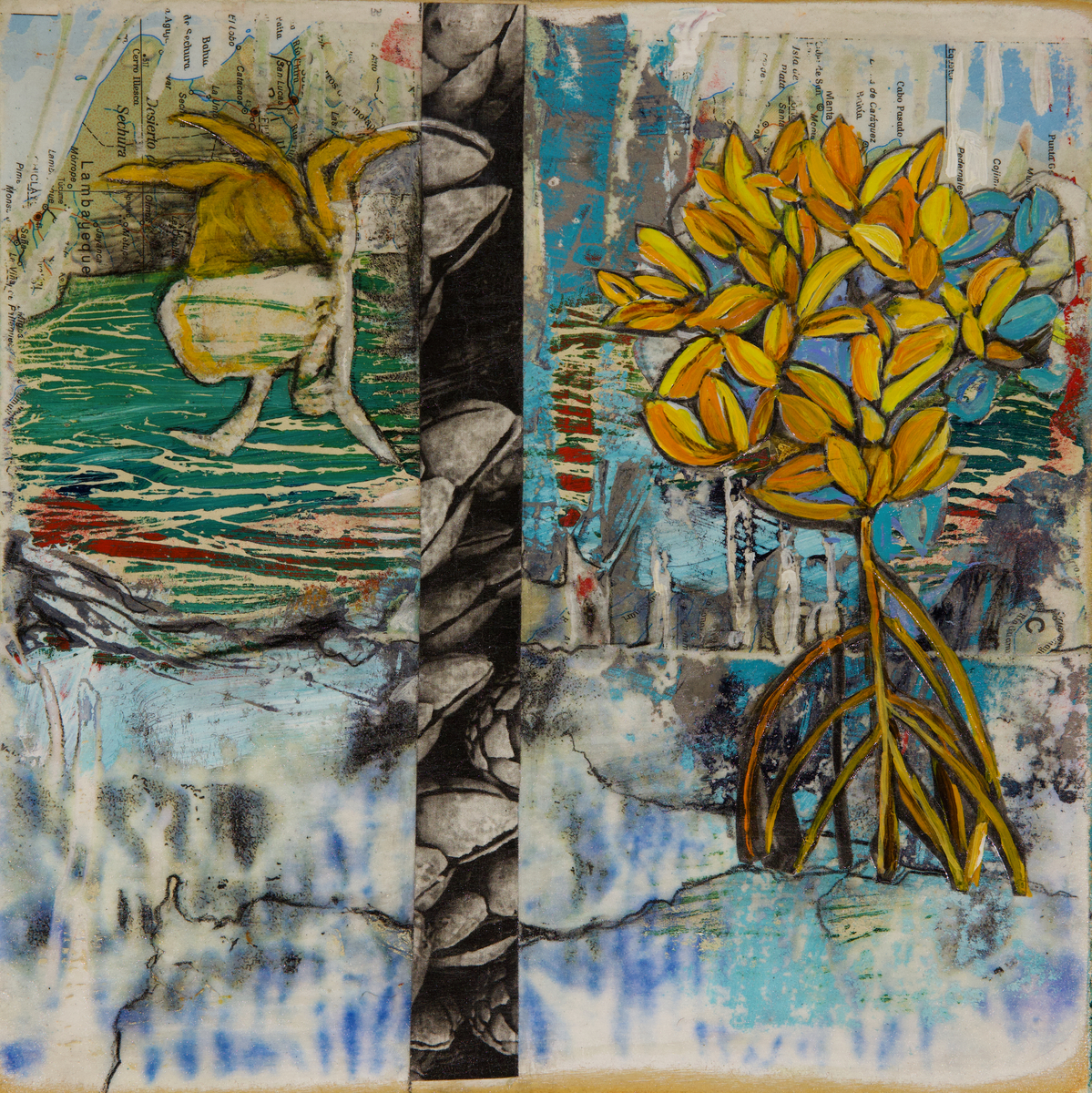 Beach Walk Discussion XX