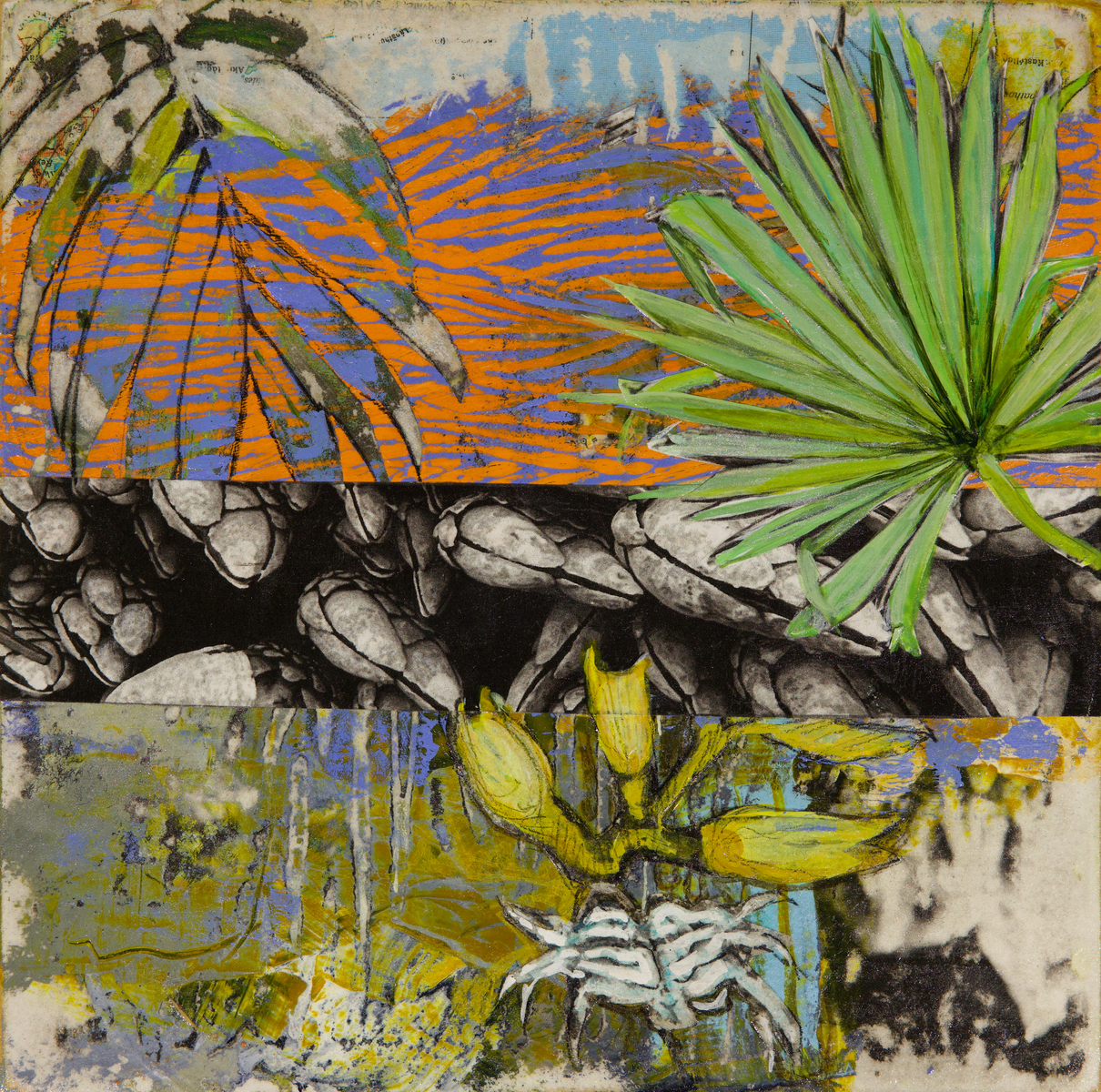 Beach Walk Discussion XVII