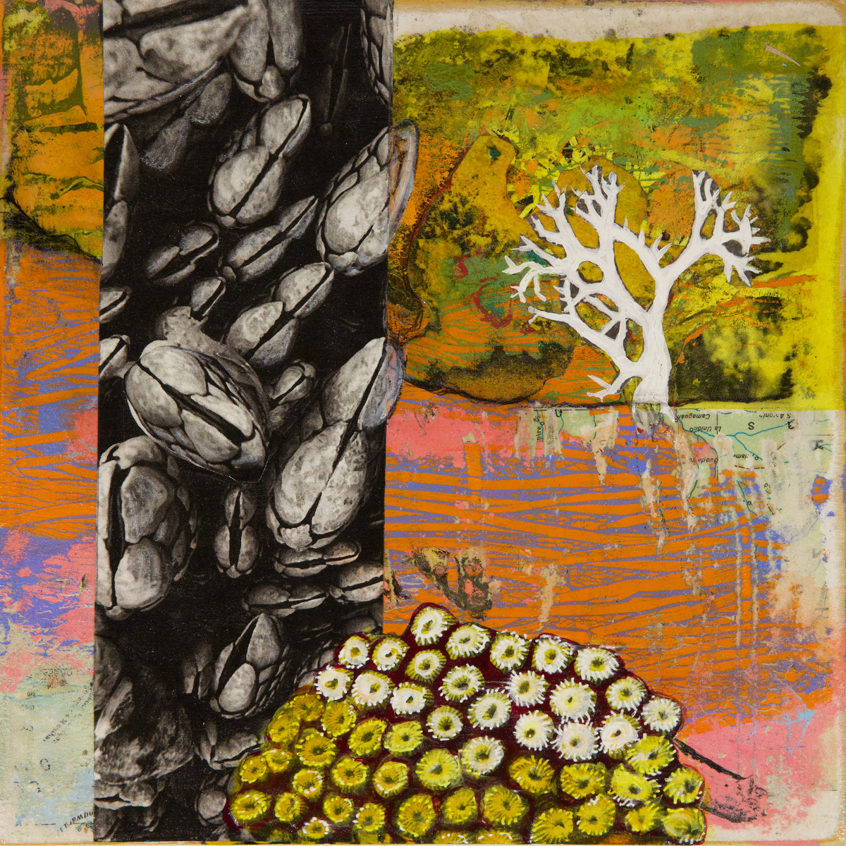 Beach walk discussion XV