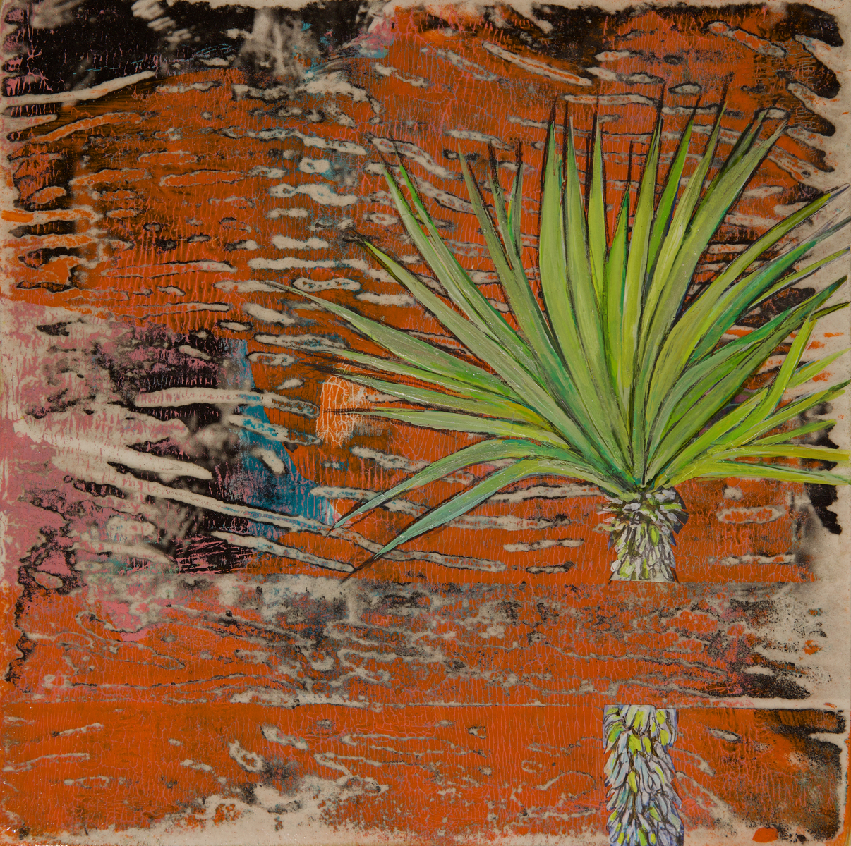 Understanding Two Views XVIII