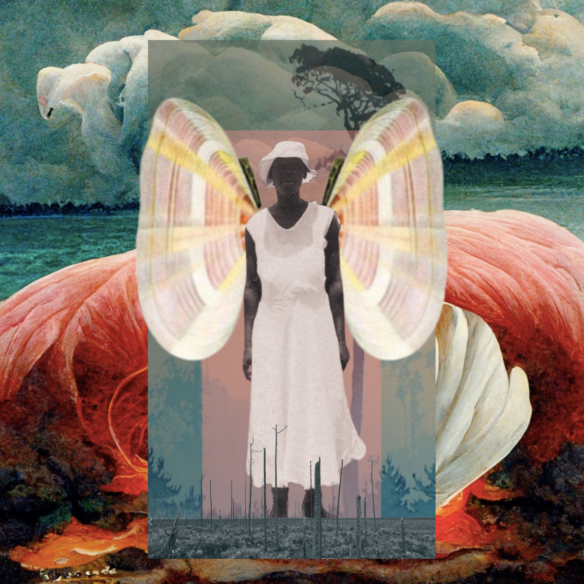 Sunrise Tellin' Phoenix