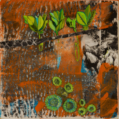 Understanding Two Views XV