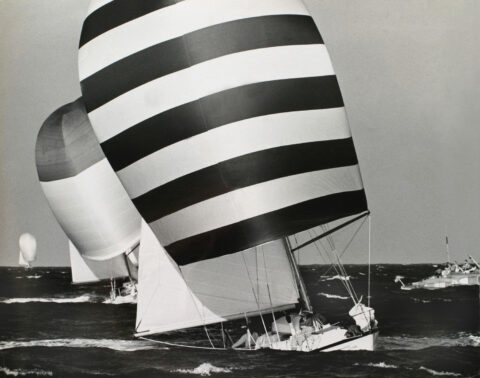 Spinaker Run