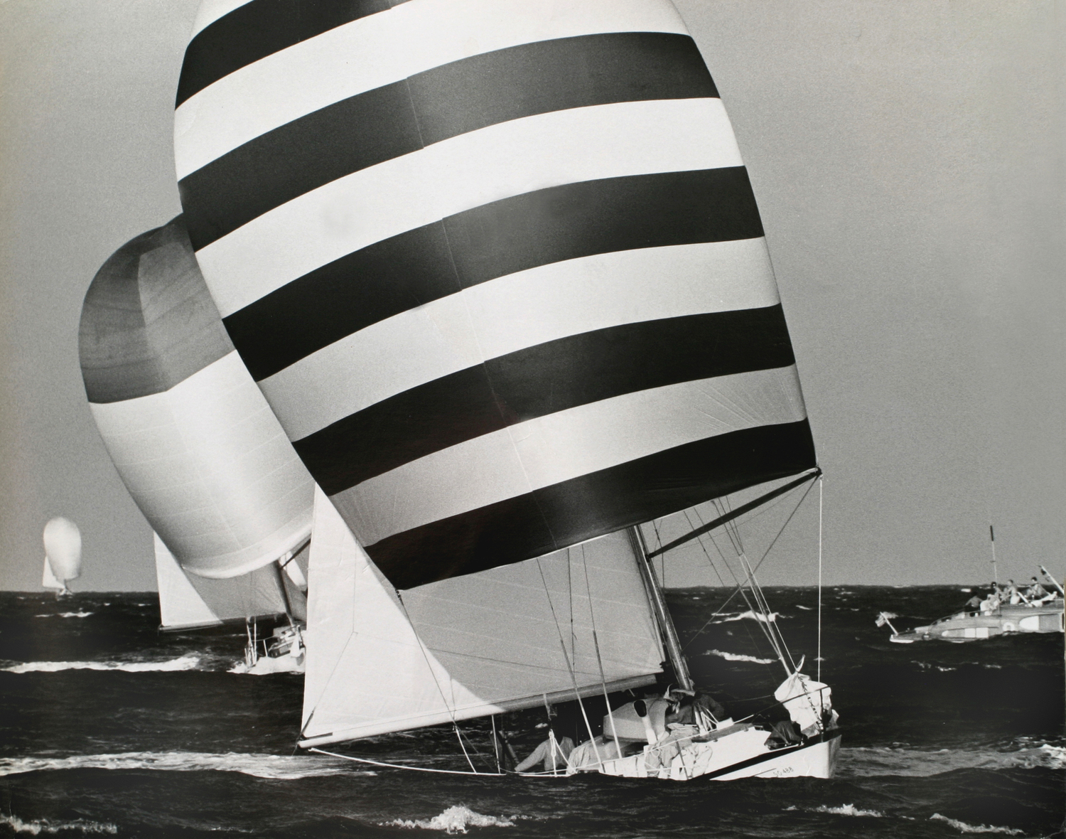 Spinaker Run