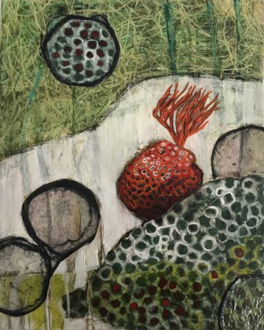 Bubbles from the deep 5