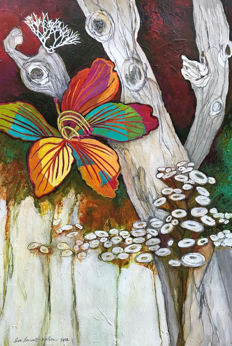 Symbiotic Relationship 1