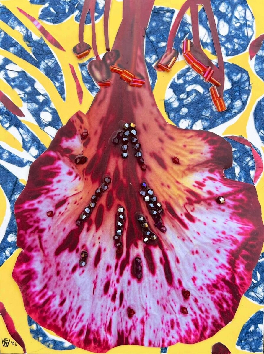 Poinciana Petal