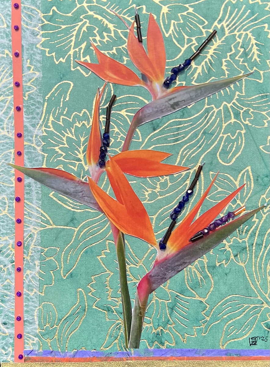 Bird of Paradise