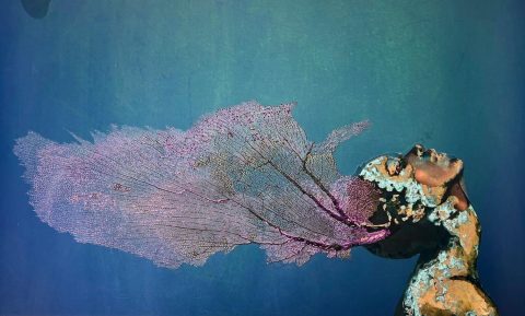 Seafan Figure Merge - Series 2 (No. 2 - Transformation)