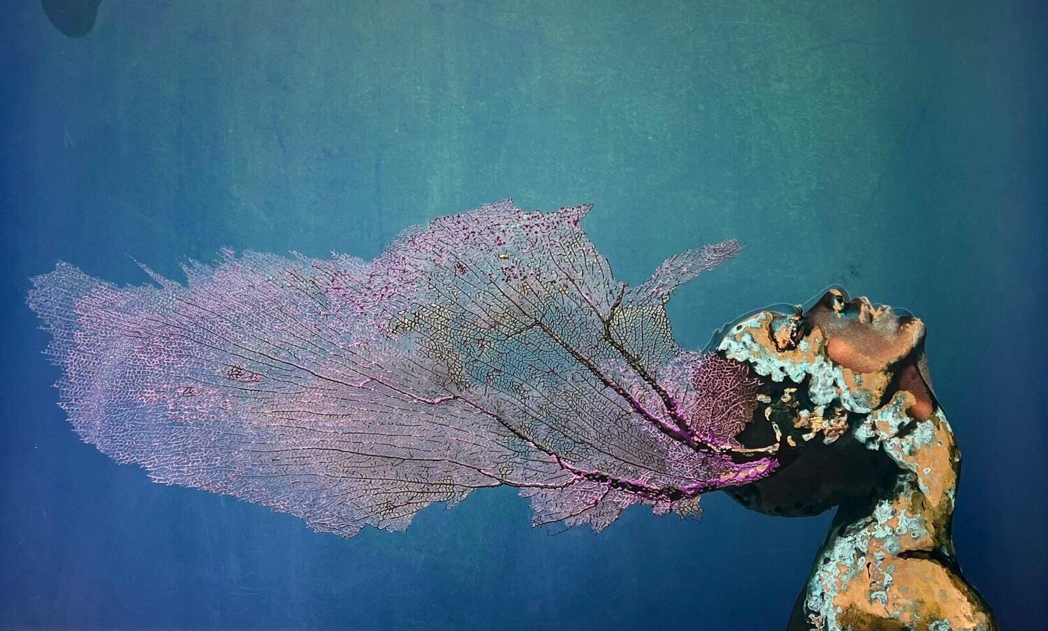 Seafan Figure Merge - Series 2 (No. 2 - Transformation)