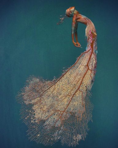 Seafan Figure Merge - Series 2 (No. 1 - Ascension)