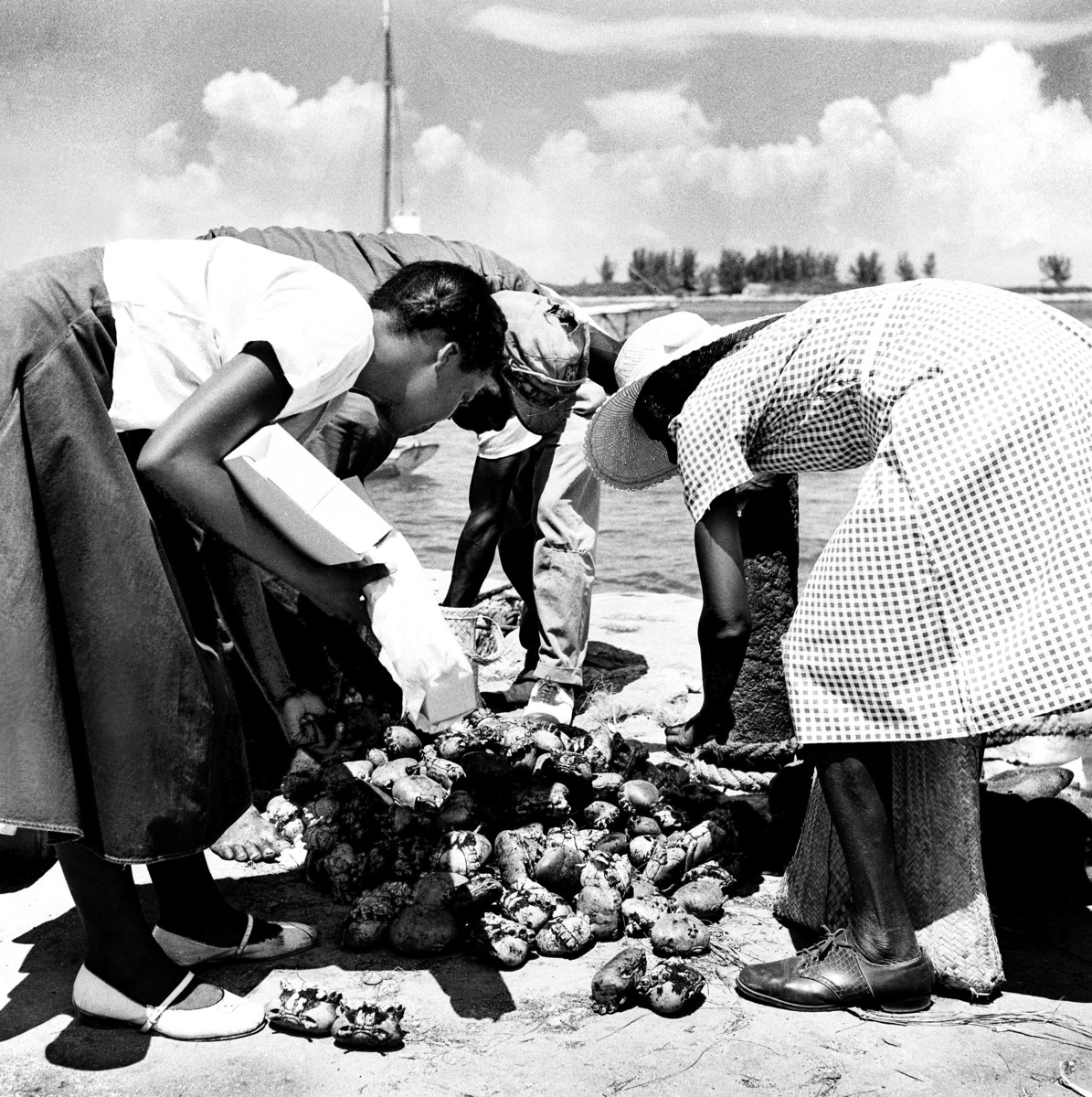 Crab and Rice Tonight