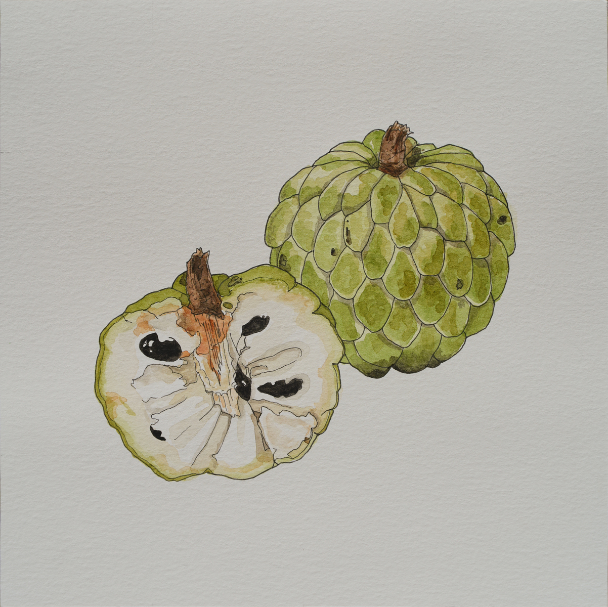 Sugar Apple