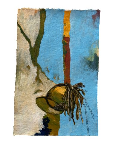 Seaweed on the Cornish coast (Study)