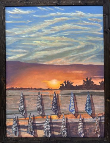 Sunrise Shells