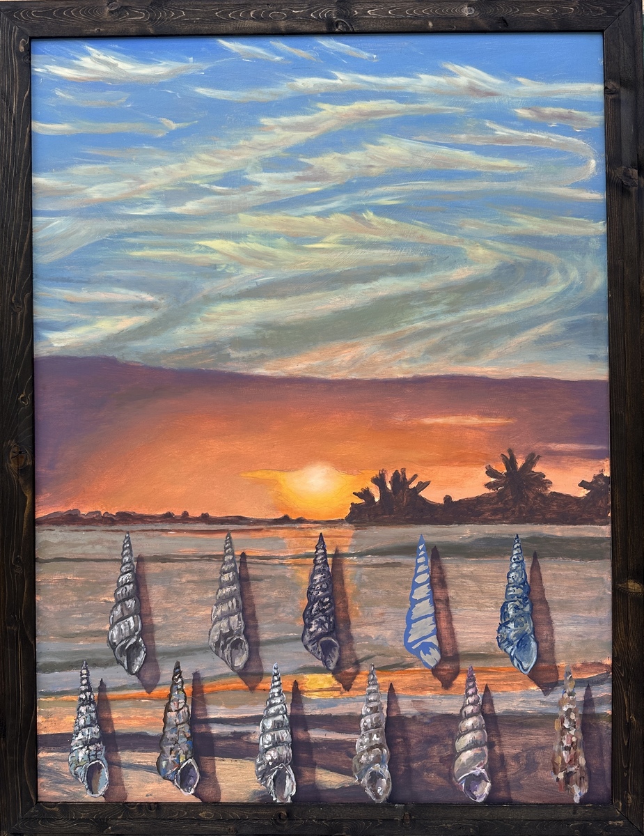 Sunrise Shells