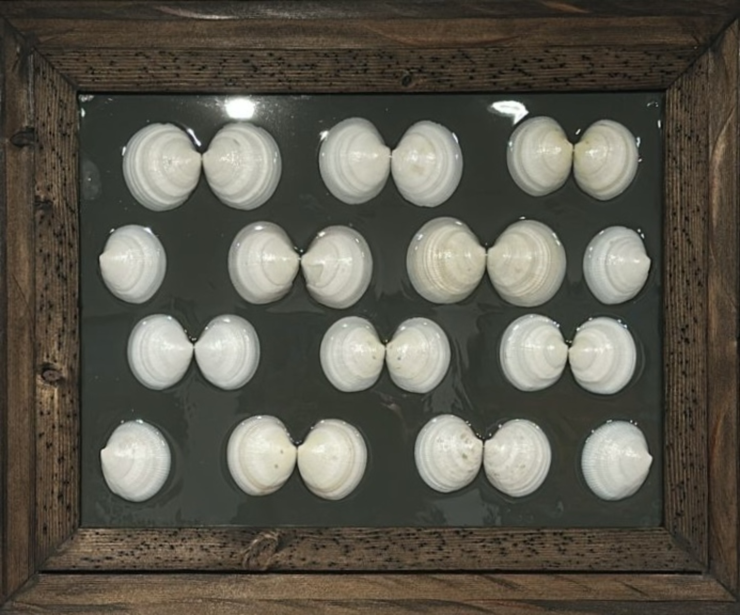 BNW Shells