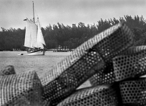 Pots and Sailboats