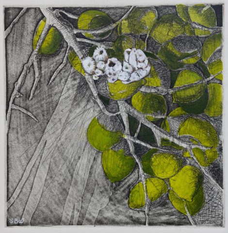 Traveling Seeds 3