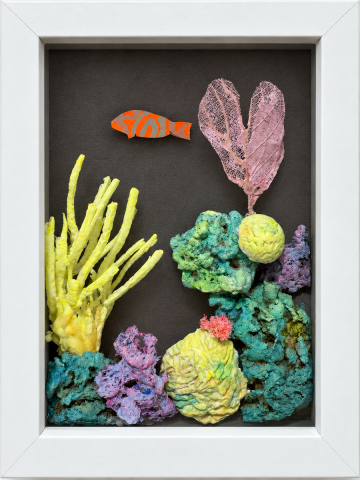 Orange Fish Reef