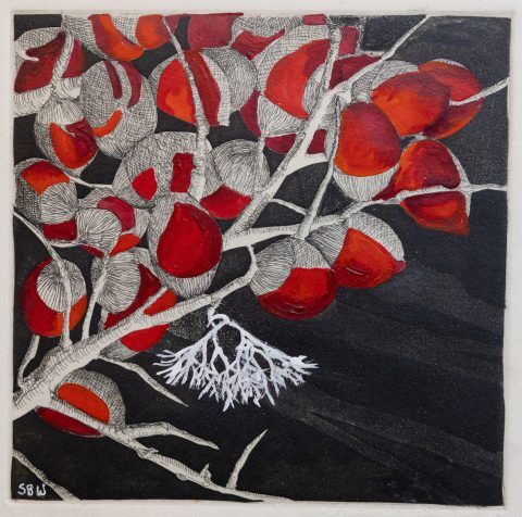Traveling Seeds 1