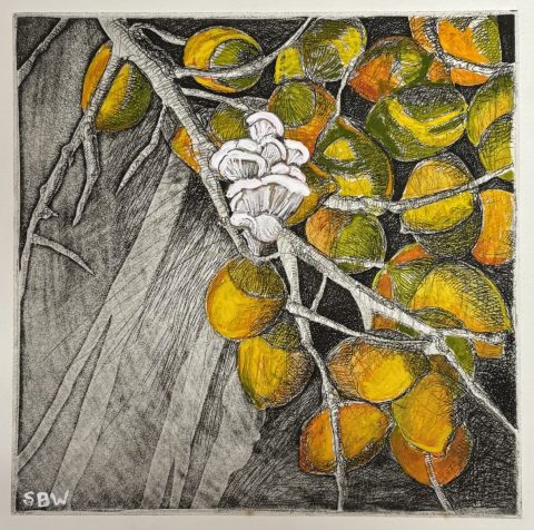 Traveling Seeds 2