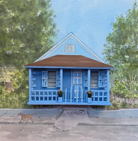 Blue House on da right (Bain and Grants)