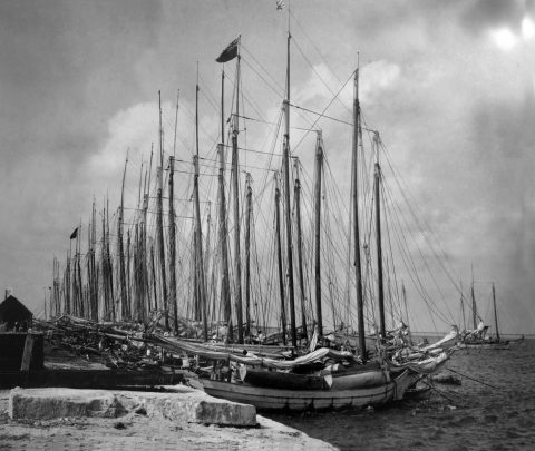Boats Downtown